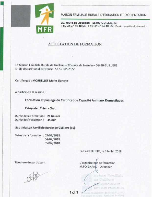 53e2f5c8 3cd2 4242 9c38 f3c32381884a