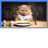 Chat palace