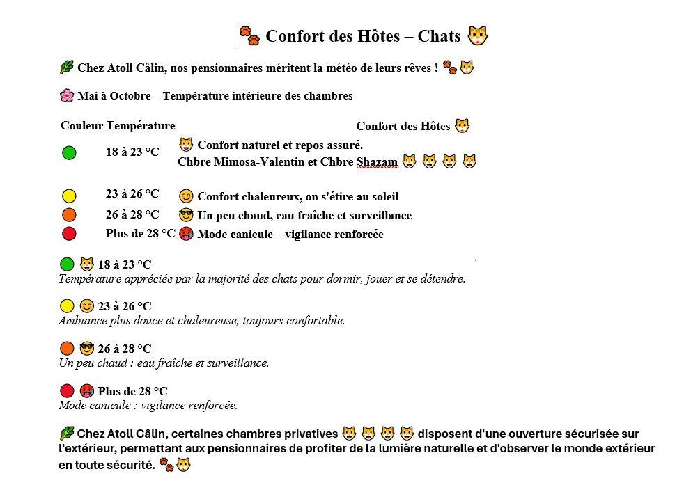Chats normaux confort