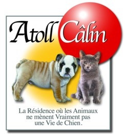 "Comme à la Maison" pour chiens et/ou chats.